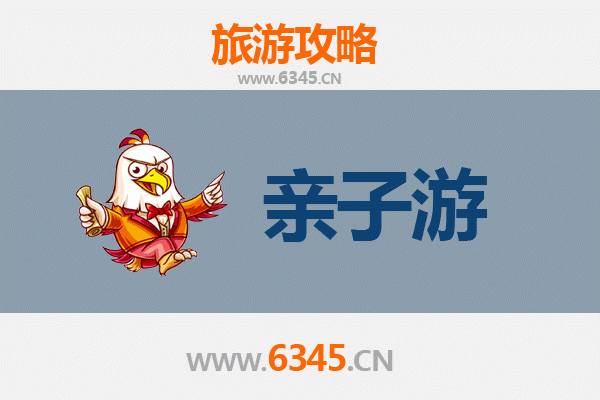 香港岛亲子游全攻略：寓教于乐的家庭探险之旅
