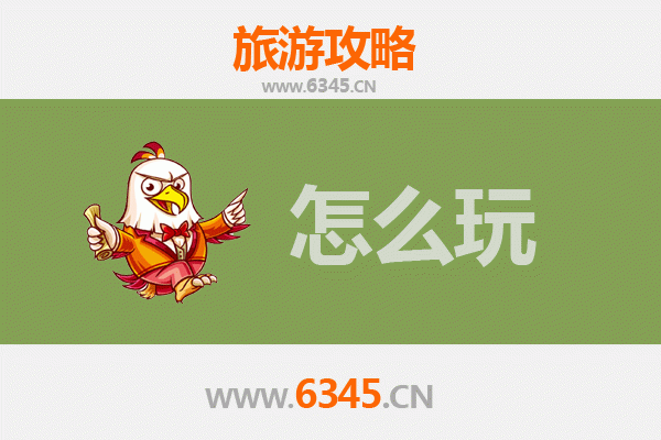 节假日香港岛旅游全攻略：经典景点与地道体验